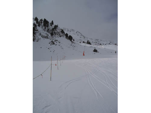 Check out the fresh tracks.
