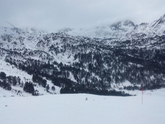 Snowy trees in Grau Roig