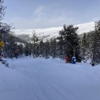 The kids forest was full of powder snow