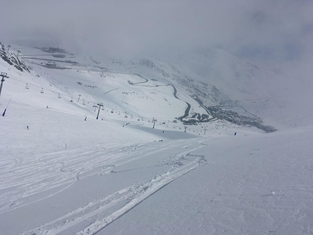 Fresh powder to the right of Directa red run