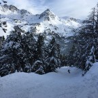 Snowy tree lined runs in Grau Roig