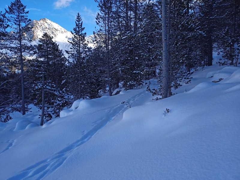 Over 40 cm of snow coverage in Grau Roig